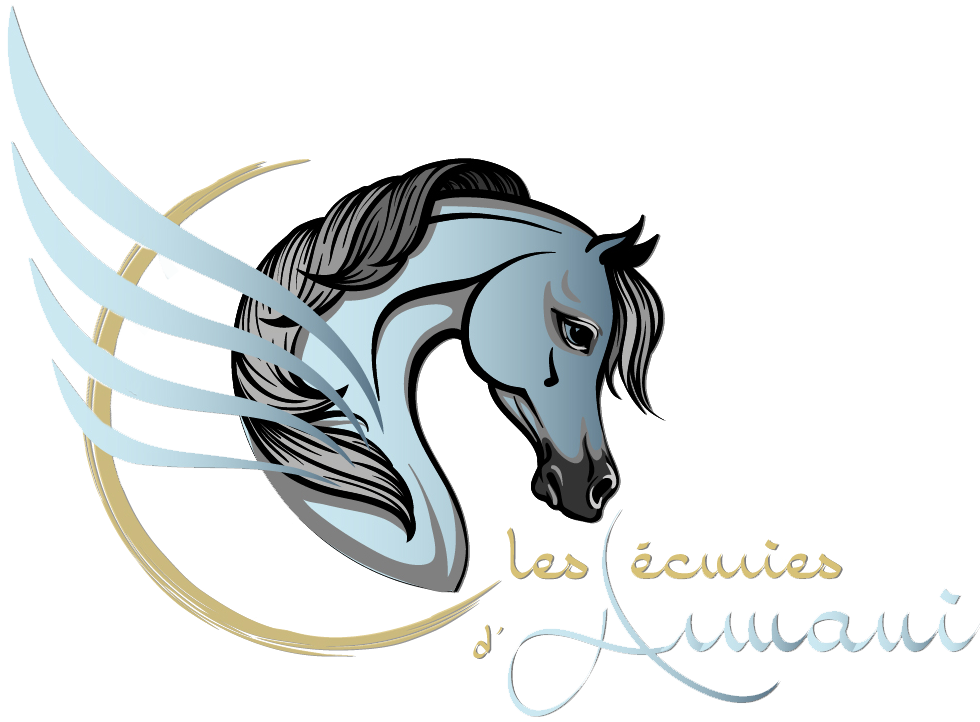 Les-Ecuries-d-Armani Les-Ecuries-d-Armani